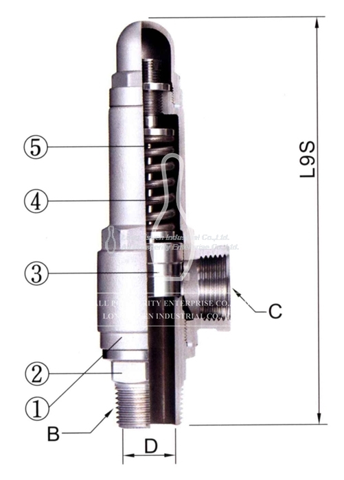 Model L9S/L9-LS Stainless Steel Safety Valves, Low Lift